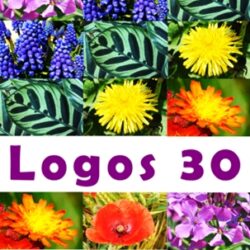 Výročí 30 let Logosu