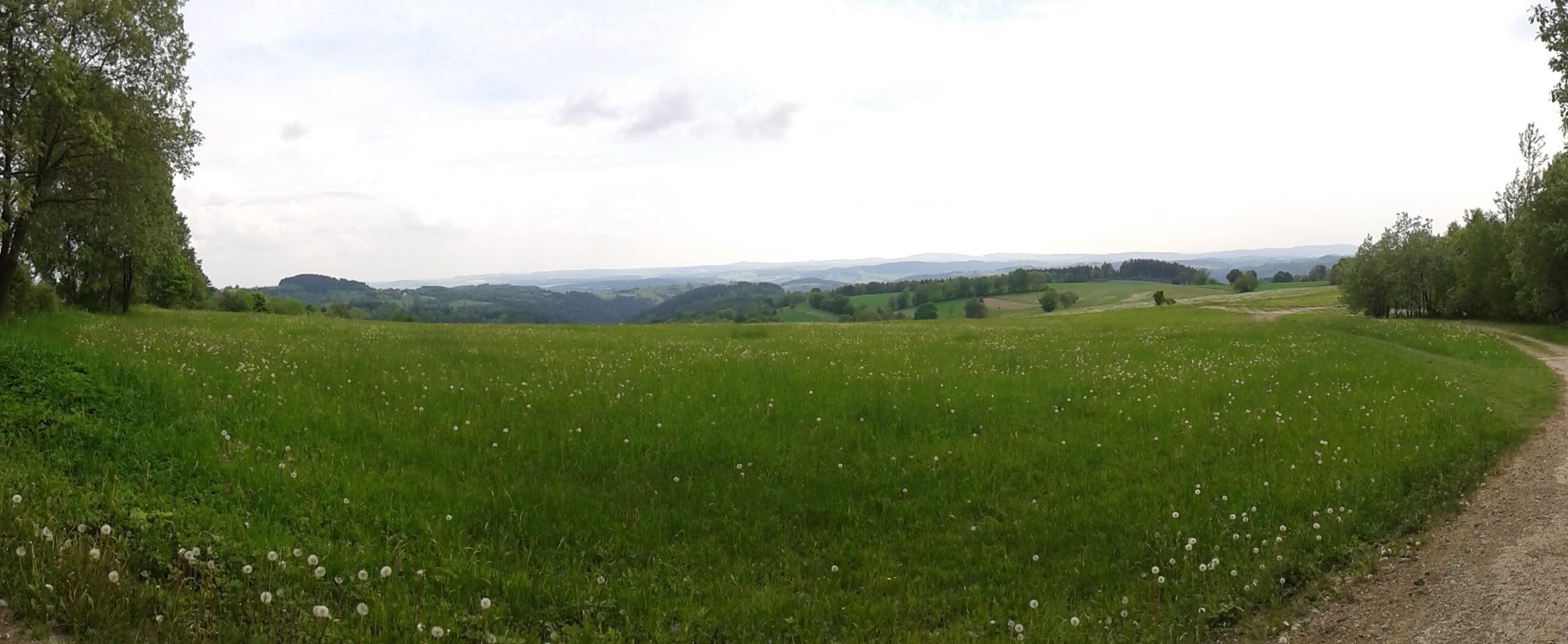 20160528_153139
