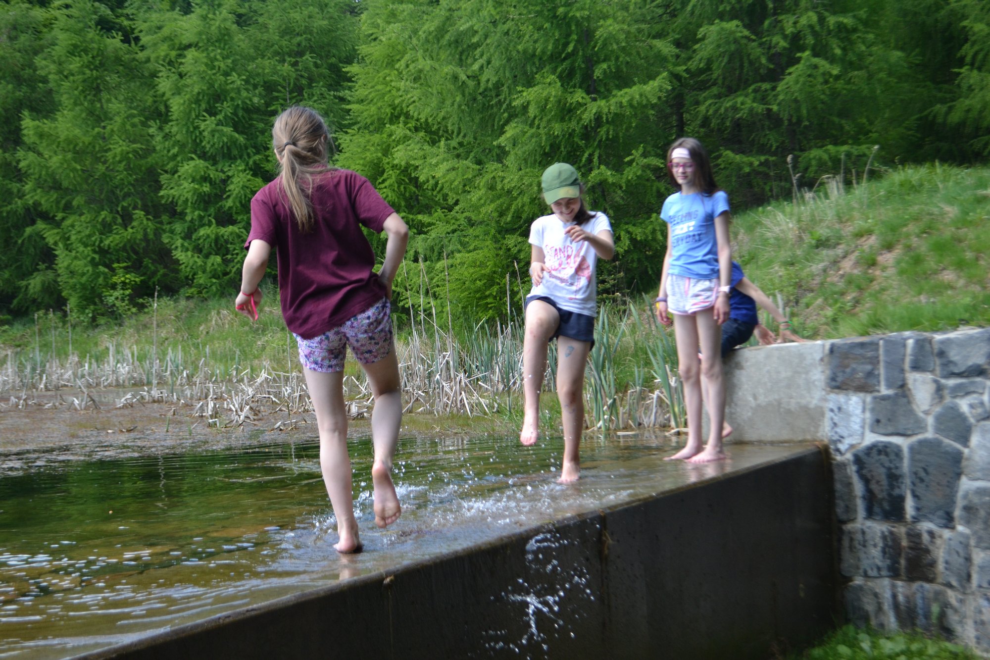 20260523-143412-FAL_DSC_1342
