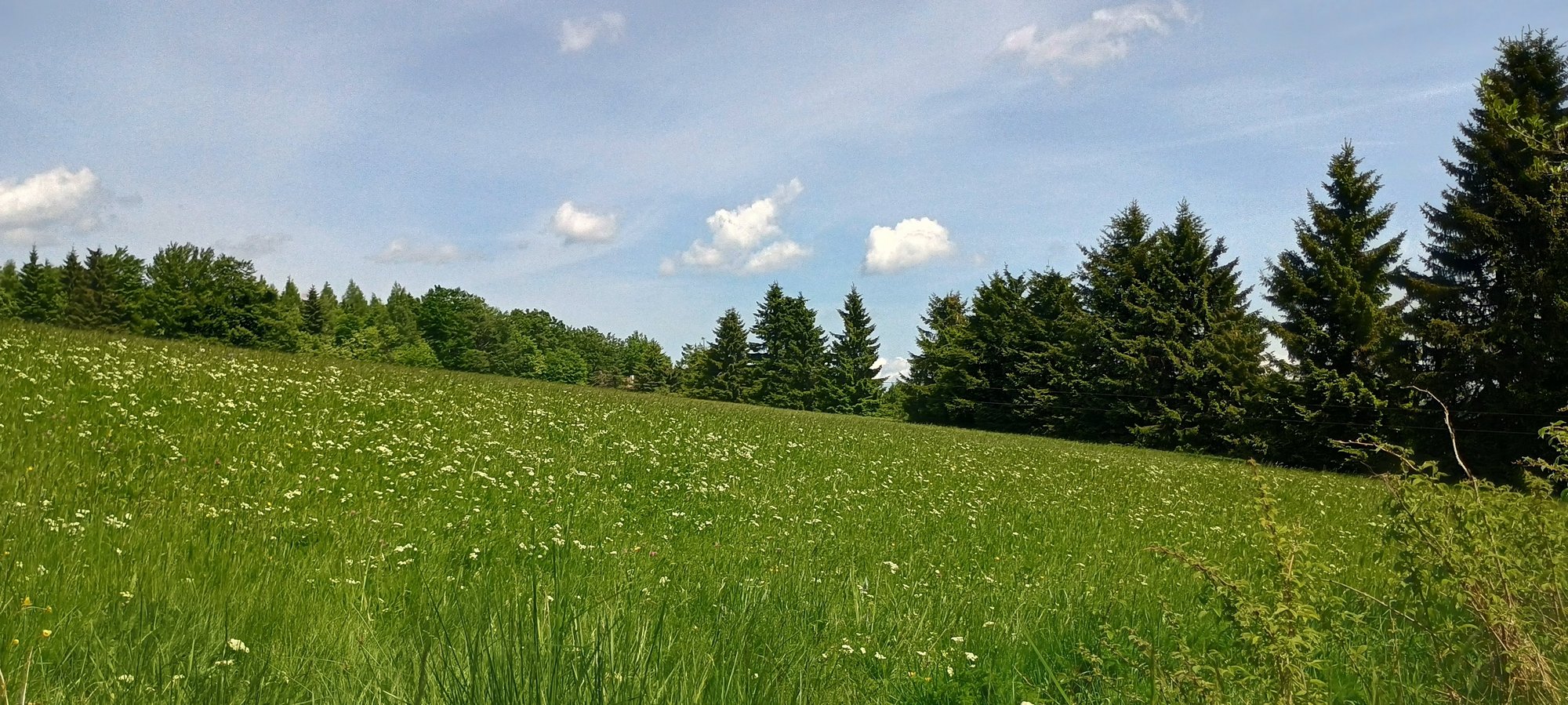 20260524-135056-NOV_IMG_20260524_135054050_HDR